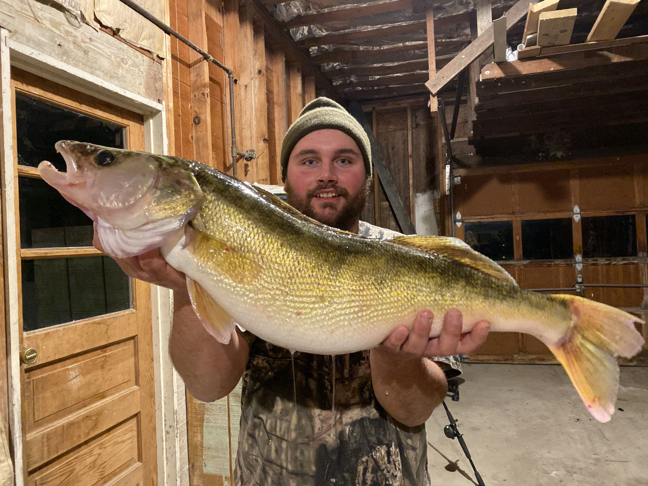 Monster walleye from Olean Creek